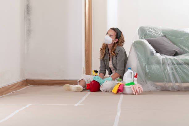 Reliable Mold Remediation contractor in Hazel Dell, WA by 24 Hour Mold Removal